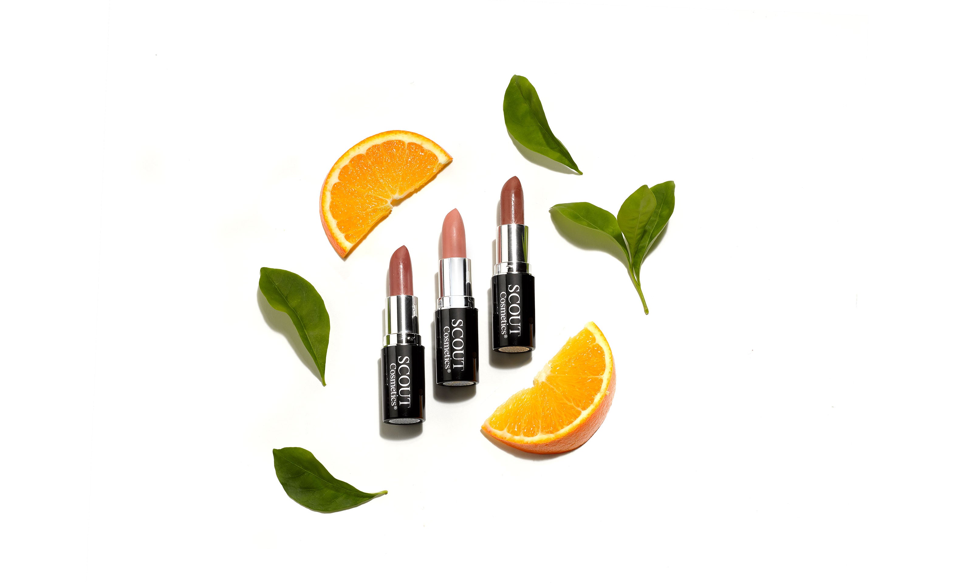 SCOUT Organic Active Beauty - Chemical Free Lipstick: What Harmful Ingredients to Avoid