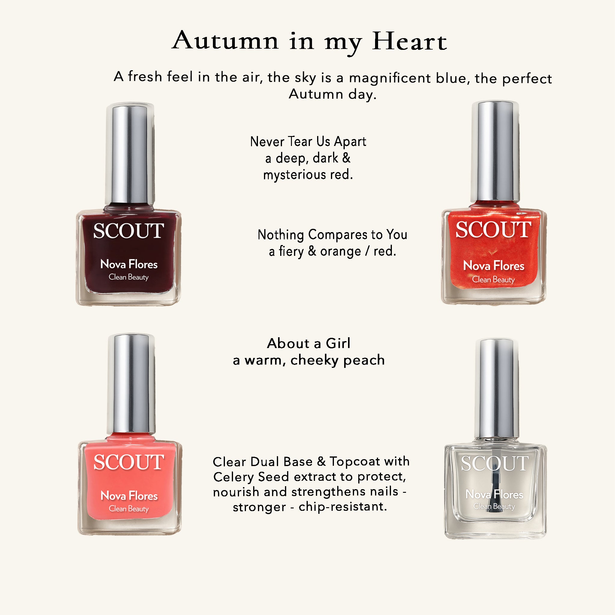 Autumn in My Heart