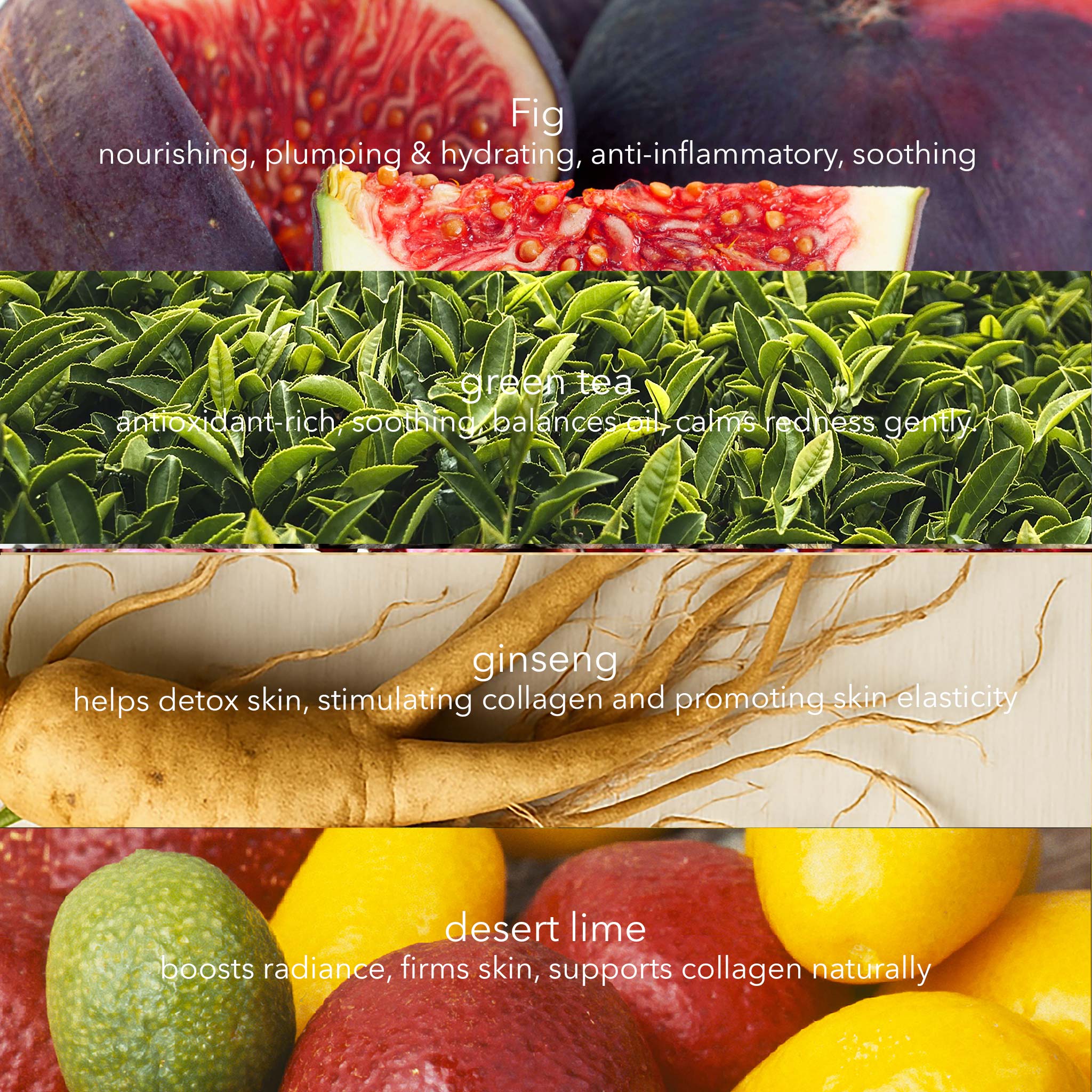 Cell Renewal Peptide Serum with Green Tea, Ginseng & Fig