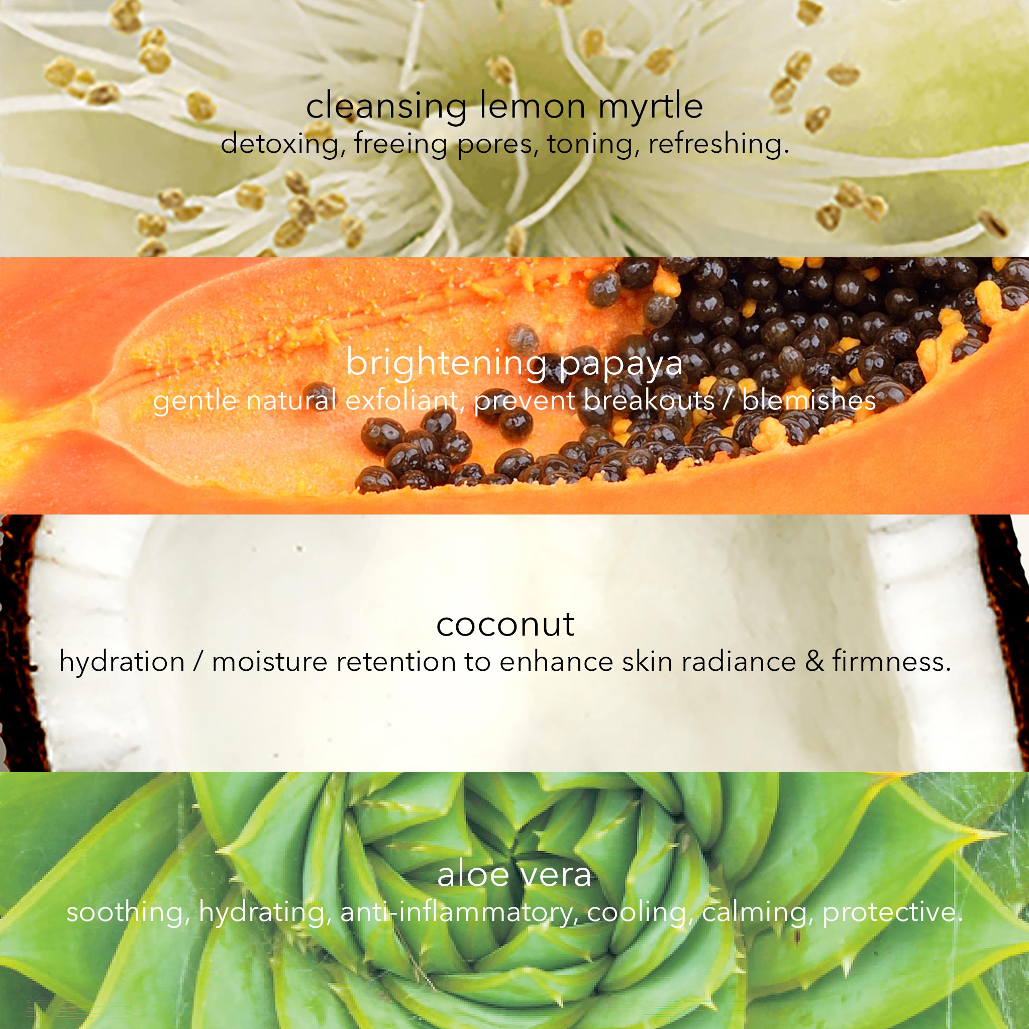 Daily Revitalise Cleansing Crème with Lemon Myrtle, Papaya & Coconut