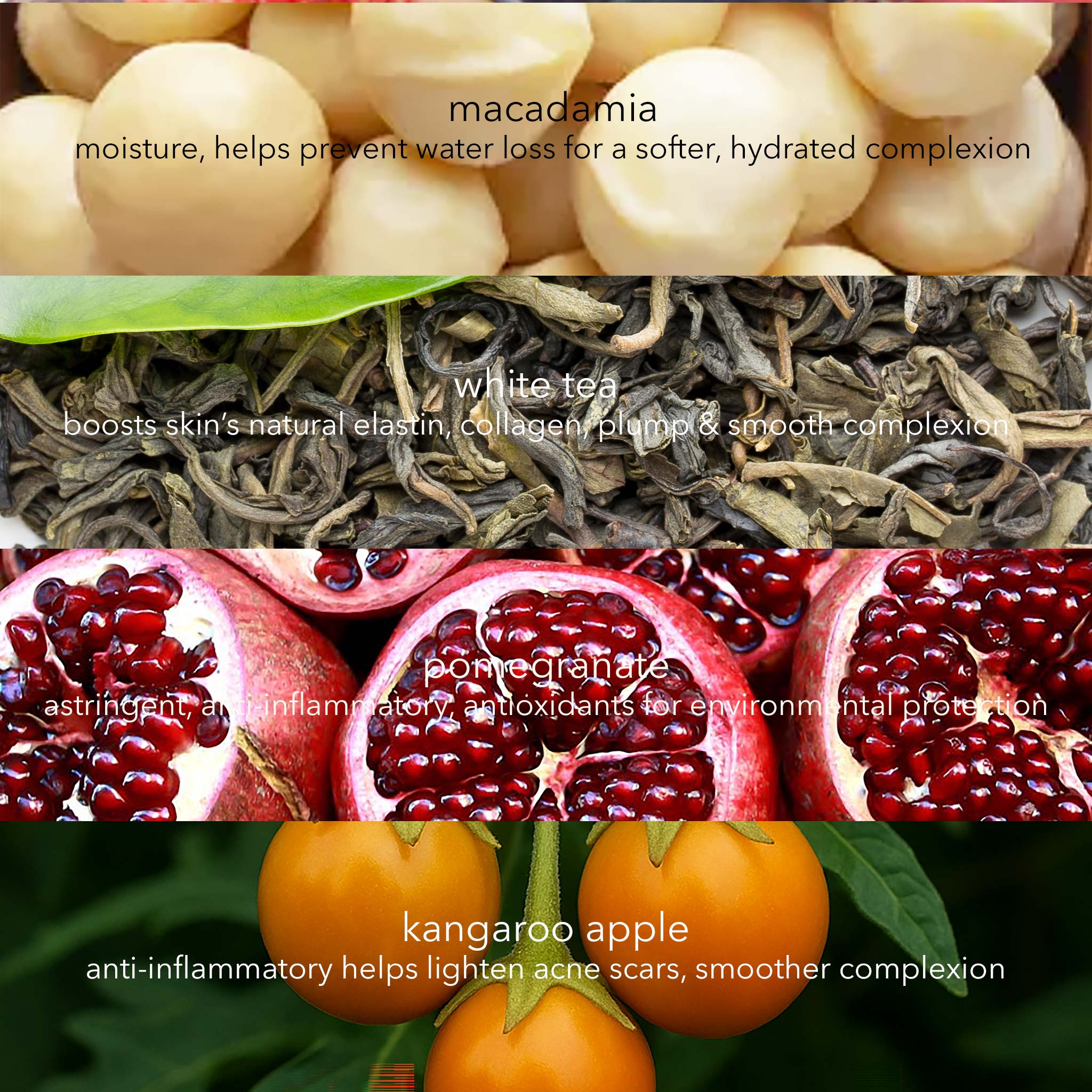 Collage of macadamia nuts, white tea leaves, pomegranate fruits, and kangaroo apples with text describing their benefits.