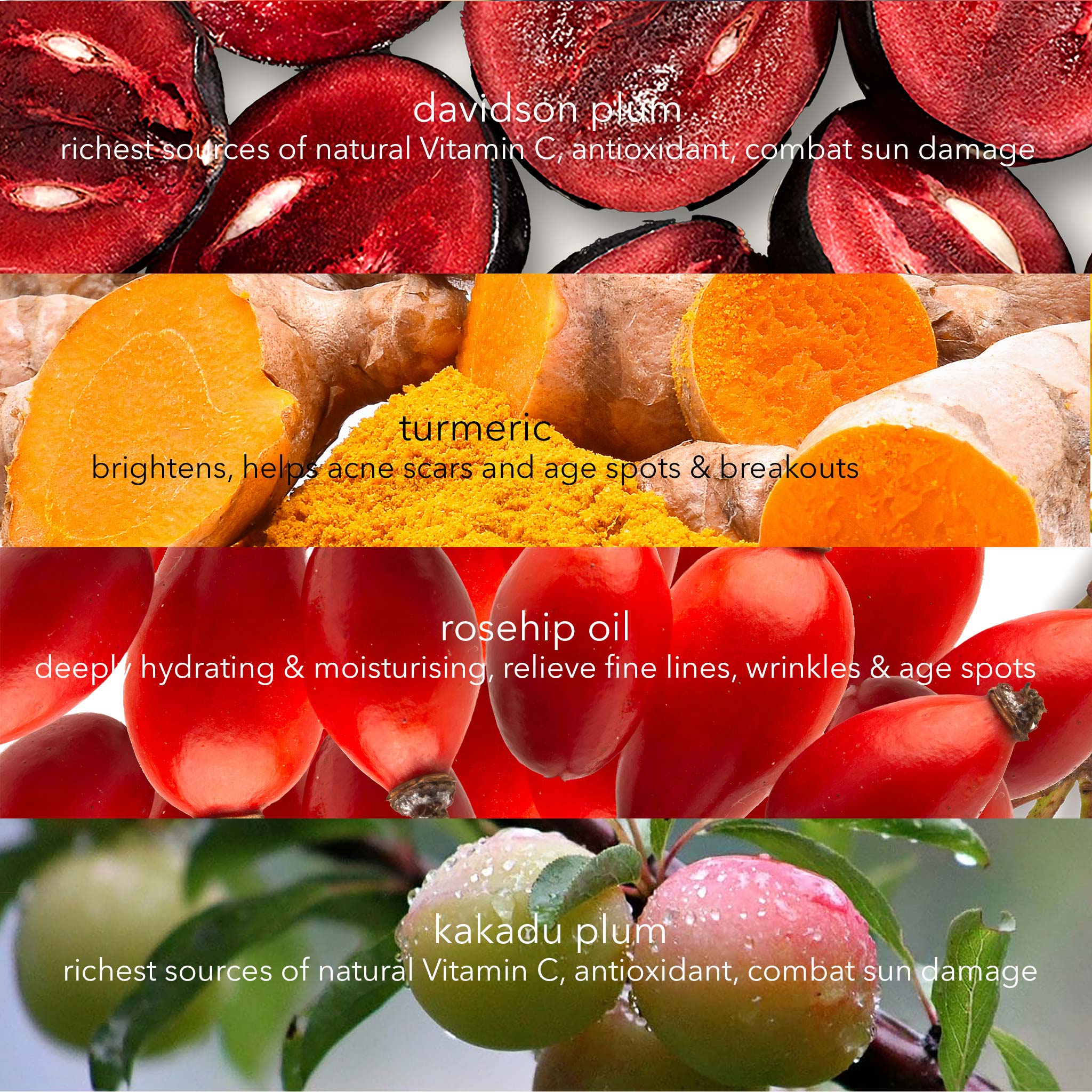 Vitamin C Brightening Serum with Kakadu Plum, Turmeric & Rosehip