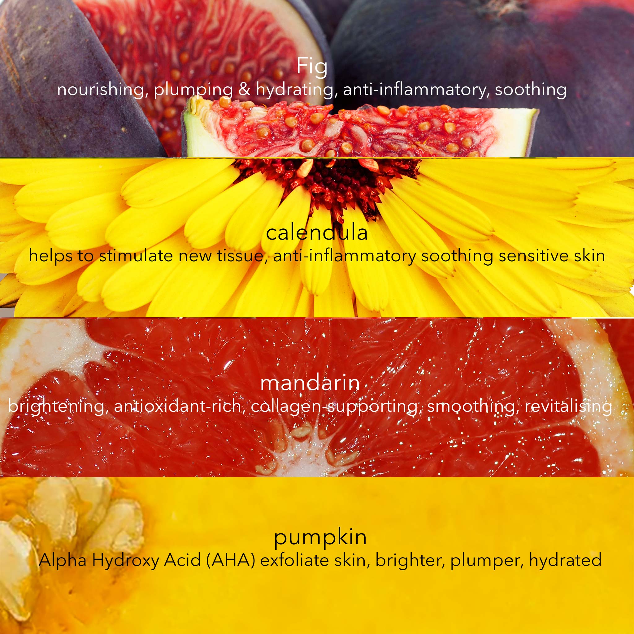 Balance & Replenish Light Moisturiser with Calendula, Red Mandarin & Pumpkin