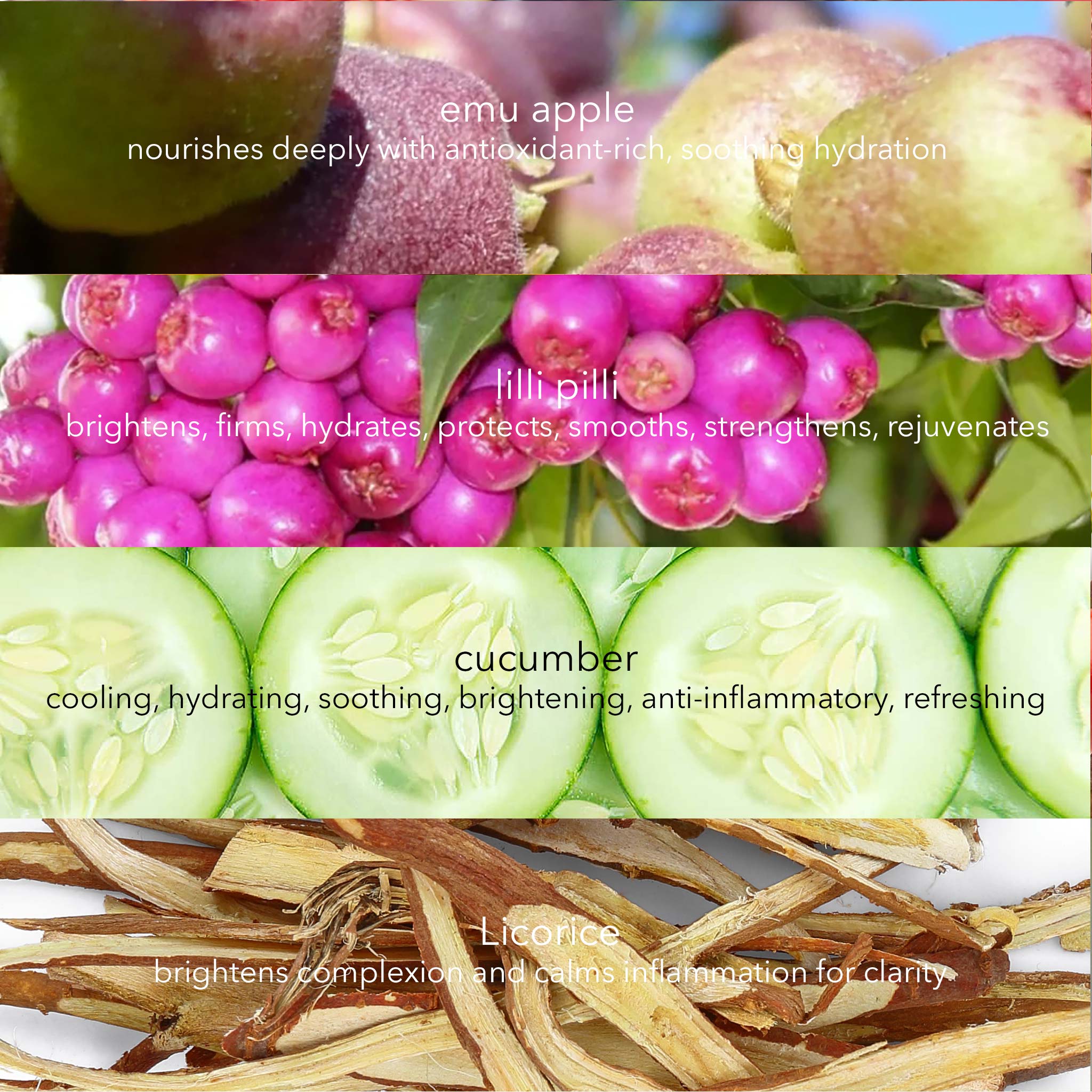 Skin Perfecting Vitamin C Gel with Lilli Pilli, Licorice, Emu Apple and Vitamin C