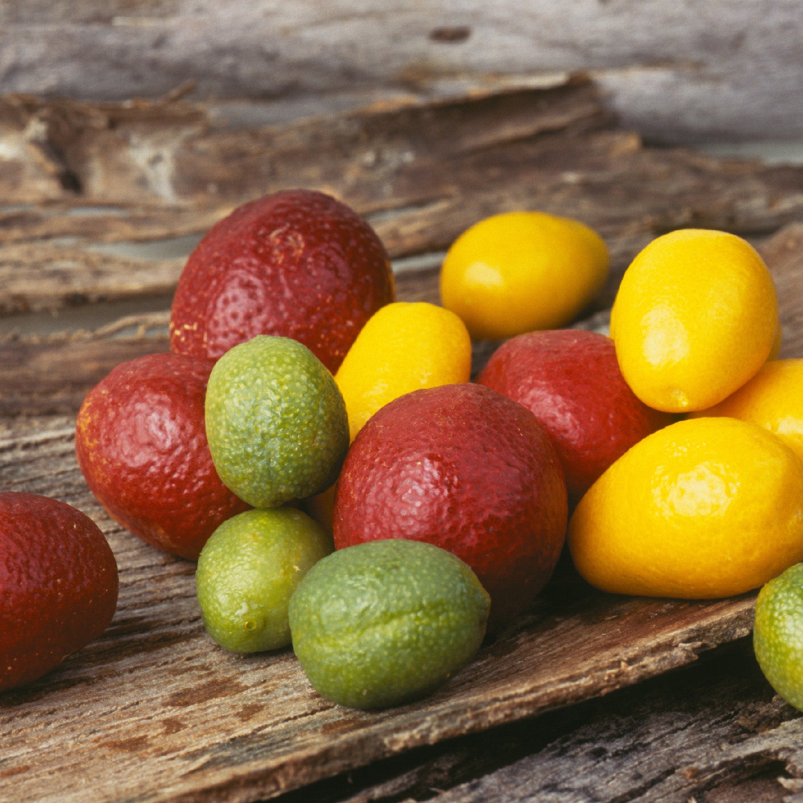 Australian Native Skincare Ingredient Desert Lime