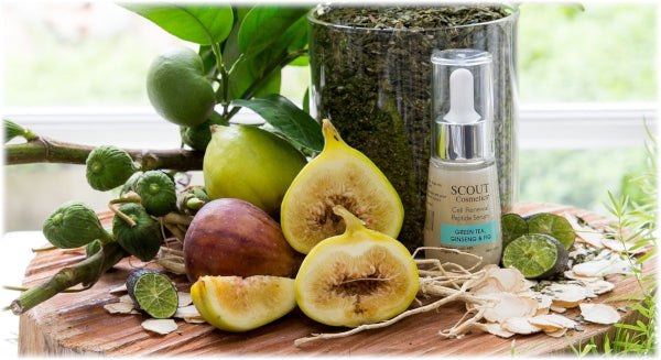 SCOUT Organic Active Beauty - Power Up Your Anti-Ageing Skincare Routine with Cell Renewal Peptide Serum