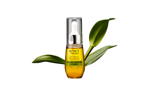 6 Best Natural Oils for Dry Winter Skin (And How to Introduce Them Safely)