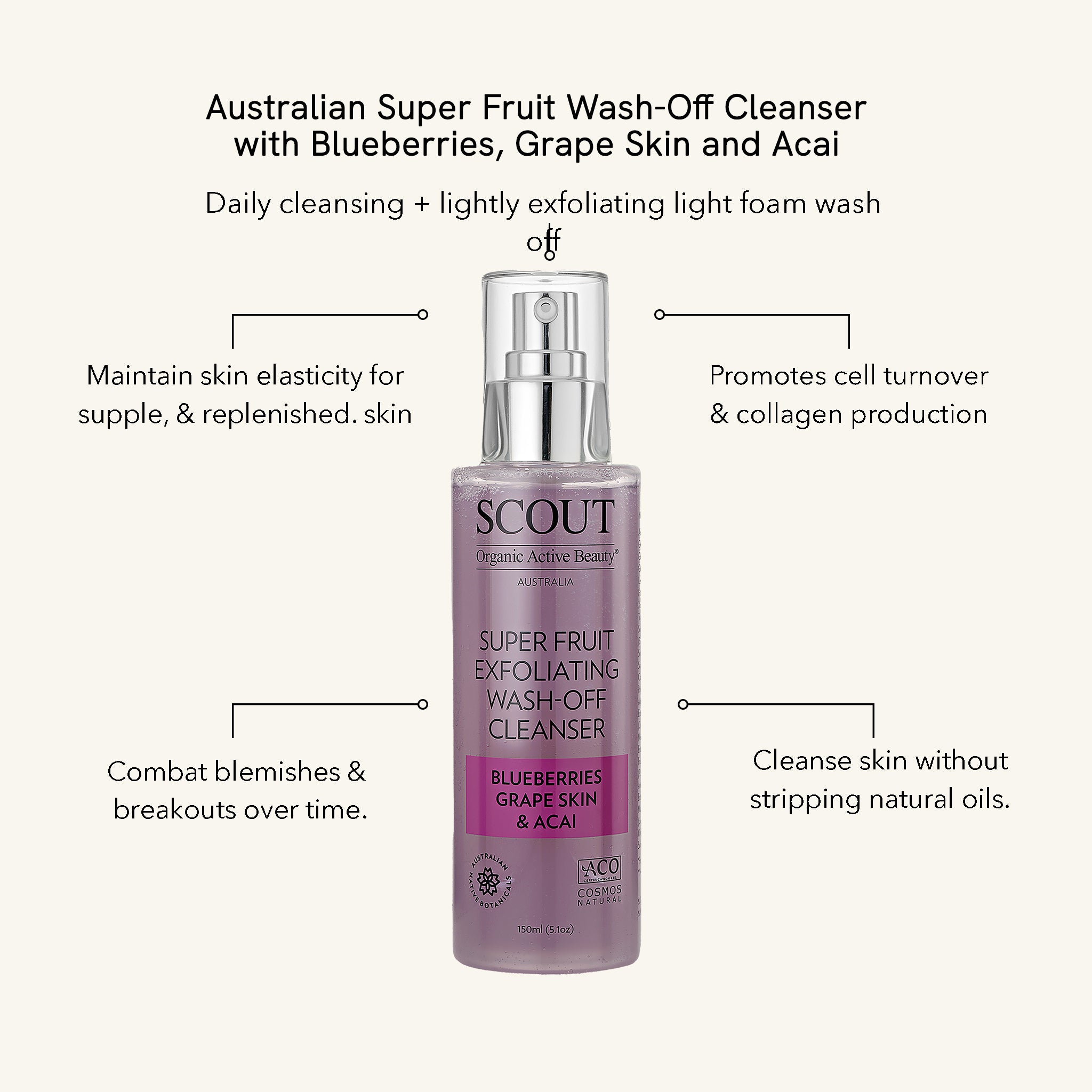 Super Fruit Wash-Off Cleanser with Blueberries, Grape Skin and Acai