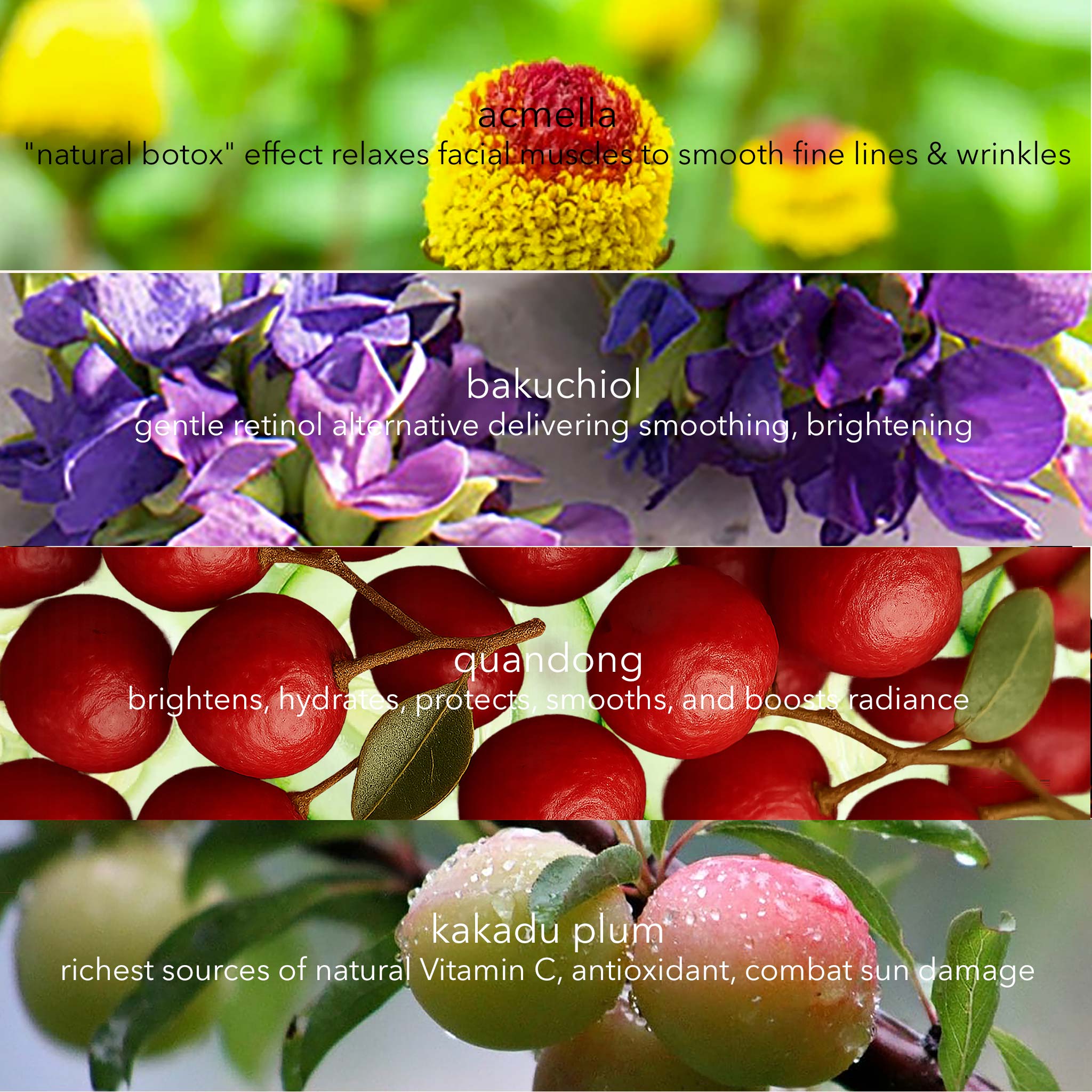 Relax + Refine + Lift Eye & Lip  Crème with Quandong + Acmella + Bakuchiol