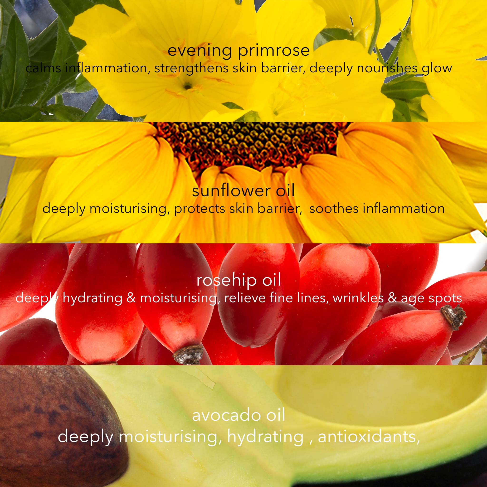 Six Oils of Rejuvenation