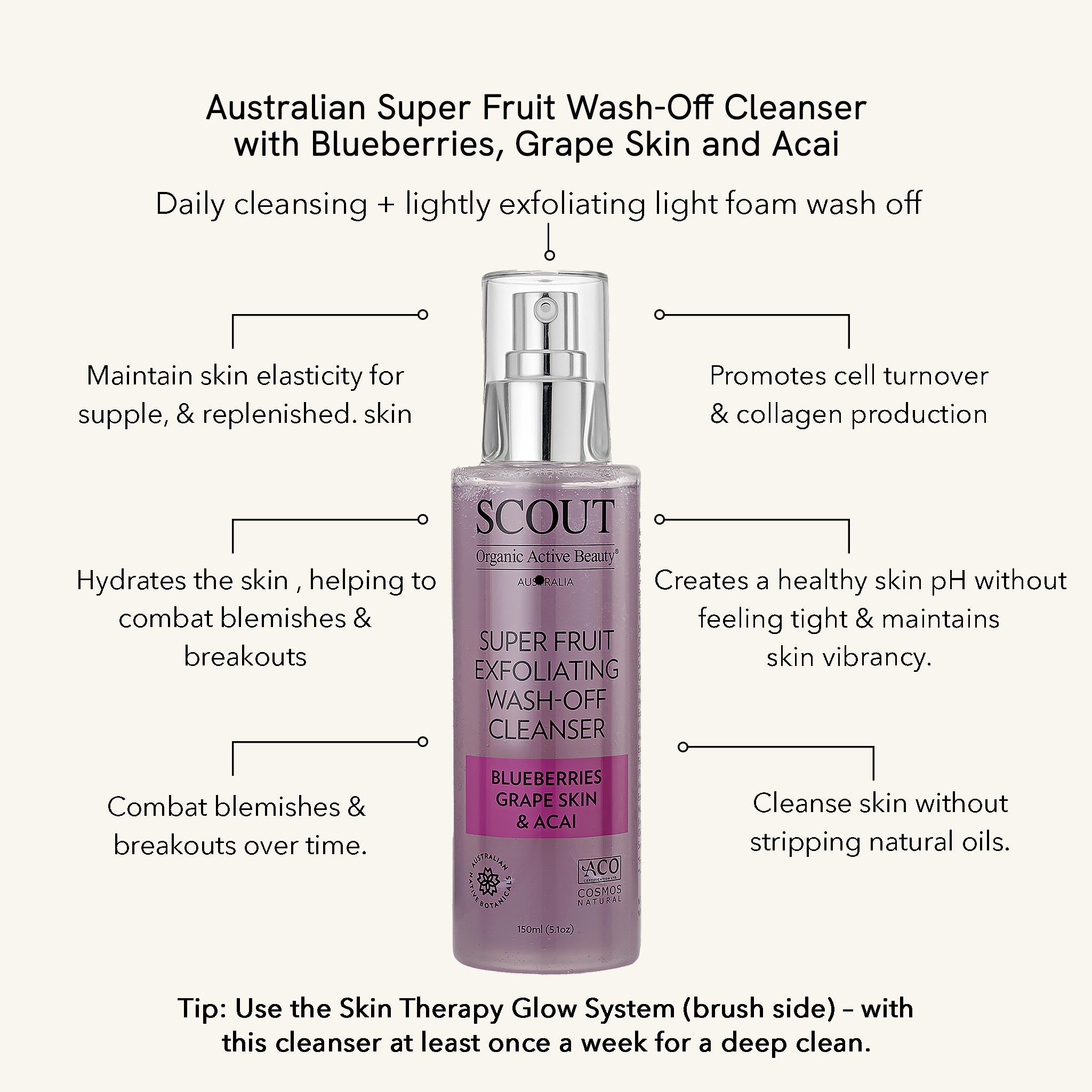 Super Fruit Exfoliating Wash-Off Cleanser with Blueberries, Grape Skin & Acai