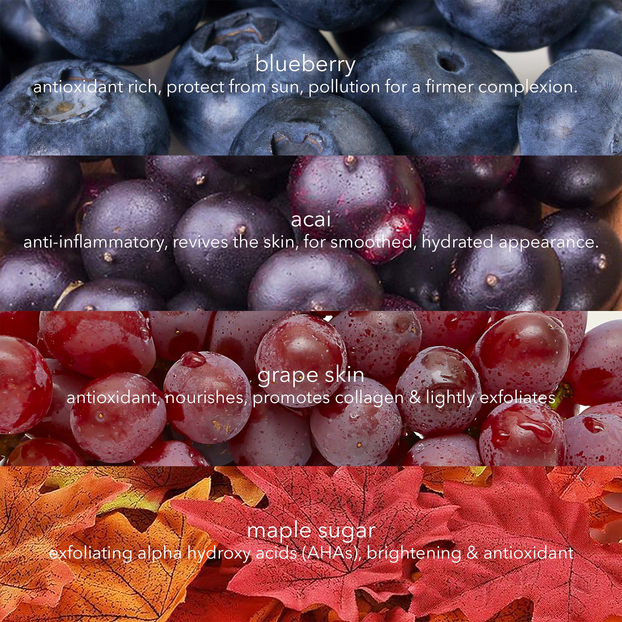 Super Fruit Exfoliating Wash-Off Cleanser with Blueberries, Grape Skin & Acai