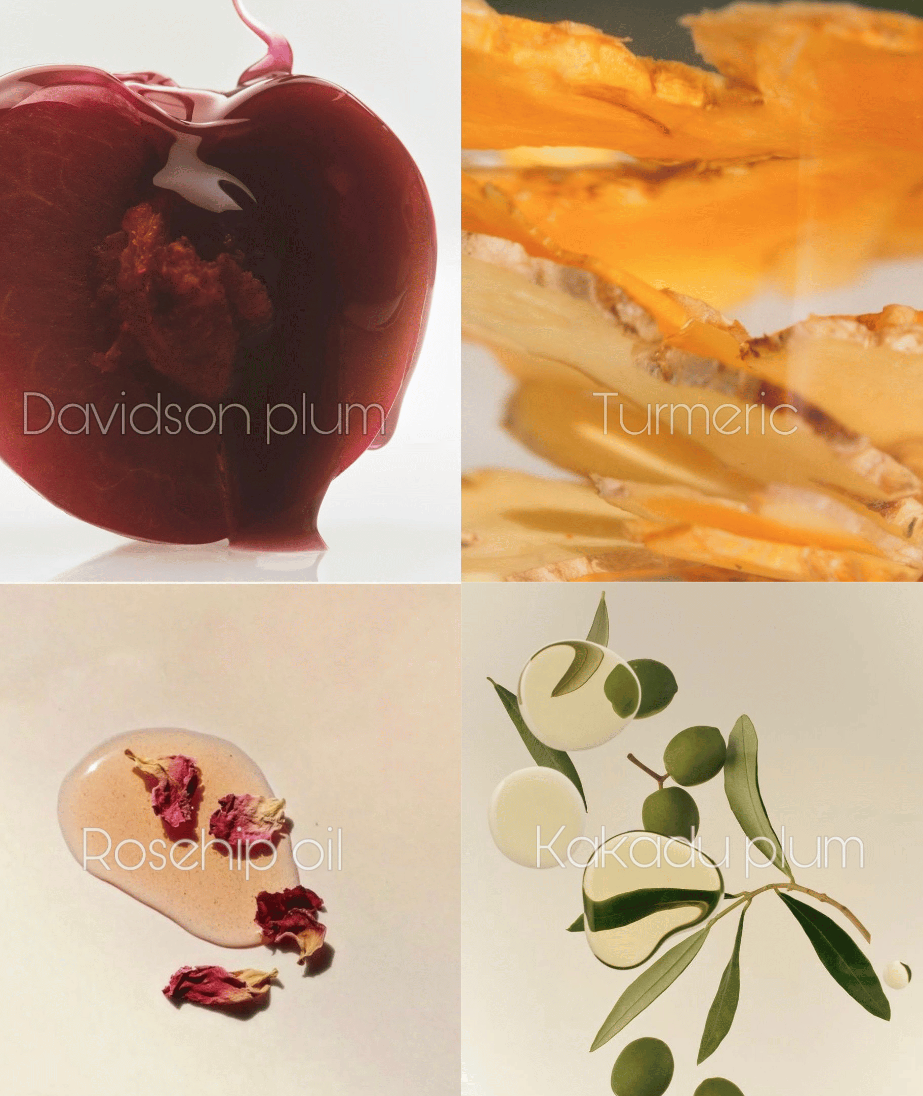 Vitamin C Brightening Serum with Kakadu Plum, Turmeric & Rosehip