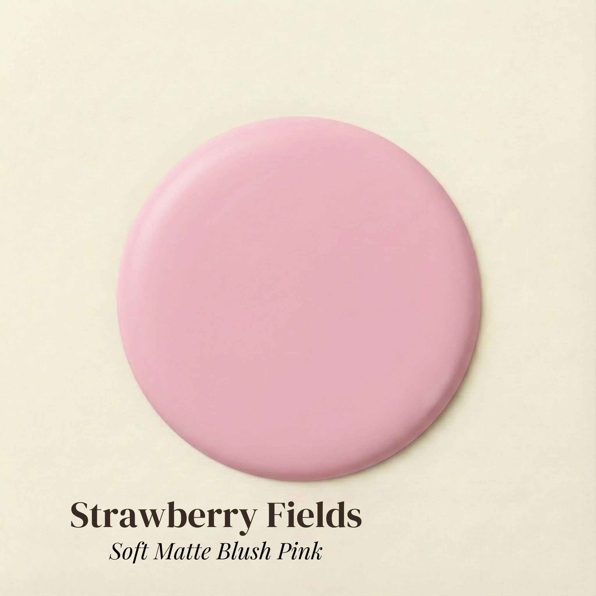 Pinks, Peaches & Purples